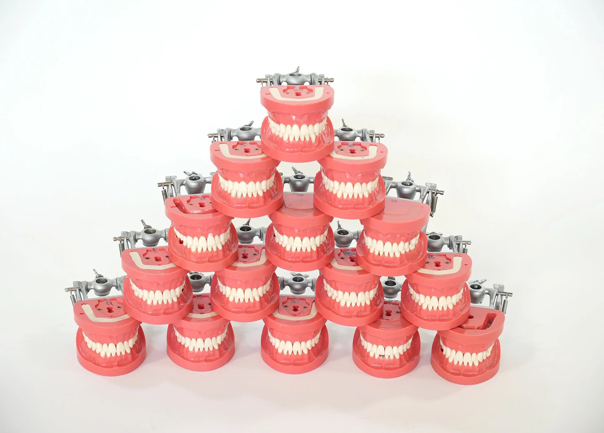 Nissin Professional Teeth Set for Study and Procedure — AGENT